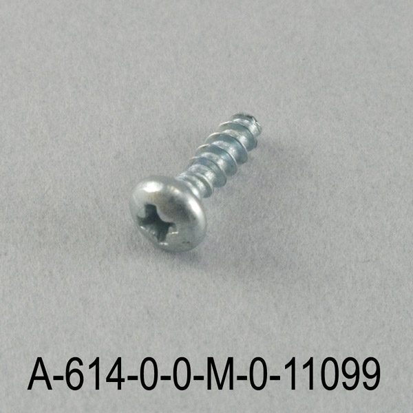 A-614 3x9,5 mm YSB Plastic Chump Screw