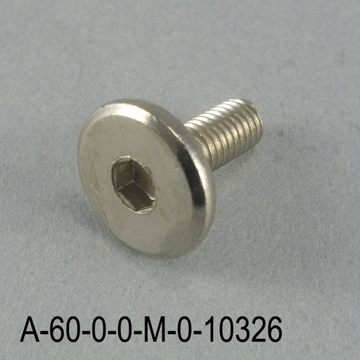 [A-60-0-0-M-0] M5x13 mm  Metallic Gray Screw 